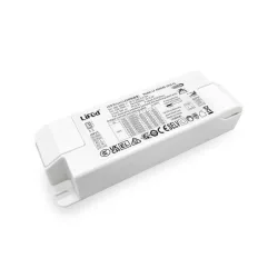Asalite LIFUD Dali Driver LF-ADD040-1050-42